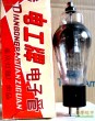 866/EG1-0.3/8.5 南京/电工